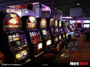 brazillovepg - Bet no Cassino App